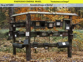 III MOVILIDAD COMENIUS. BRAKEL.              “Anotaciones a un bosque”
Día 25 OCTUBRE                   Excursión al bosque de Meerhof.
 