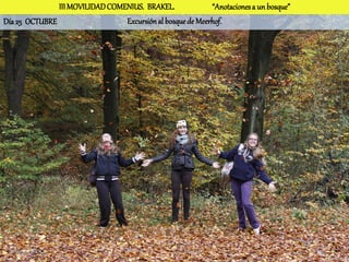 III MOVILIDAD COMENIUS. BRAKEL.              “Anotaciones a un bosque”
Día 25 OCTUBRE                   Excursión al bosque de Meerhof.
 