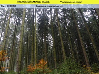 III MOVILIDAD COMENIUS. BRAKEL.              “Anotaciones a un bosque”
Día 25 OCTUBRE                   Excursión al bosque de Meerhof.
 
