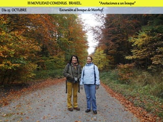 III MOVILIDAD COMENIUS. BRAKEL.              “Anotaciones a un bosque”
Día 25 OCTUBRE                   Excursión al bosque de Meerhof.
 