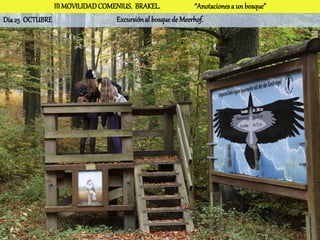 III MOVILIDAD COMENIUS. BRAKEL.              “Anotaciones a un bosque”
Día 25 OCTUBRE                   Excursión al bosque de Meerhof.
 
