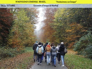 III MOVILIDAD COMENIUS. BRAKEL.              “Anotaciones a un bosque”
Día 25 OCTUBRE                   Excursión al bosque de Meerhof.
 