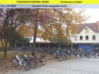 III MOVILIDAD COMENIUS. BRAKEL.                “Anotaciones a un bosque”
Día 23 OCTUBRE                Gymnasium Brede, visita guiada al centro.
 
