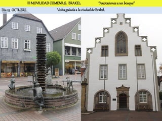 III MOVILIDAD COMENIUS. BRAKEL.                 “Anotaciones a un bosque”
Día 23 OCTUBRE                  Visita guiada a la ciudad de Brakel.
 