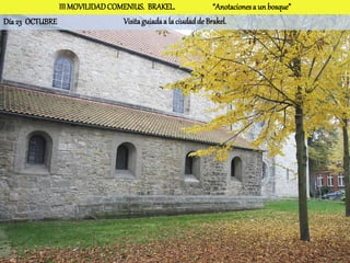 III MOVILIDAD COMENIUS. BRAKEL.                 “Anotaciones a un bosque”
Día 23 OCTUBRE                  Visita guiada a la ciudad de Brakel.
 