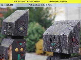 III MOVILIDAD COMENIUS. BRAKEL.                 “Anotaciones a un bosque”
Día 23 OCTUBRE                  Visita guiada a la ciudad de Brakel.
 