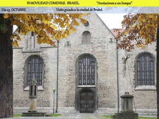 III MOVILIDAD COMENIUS. BRAKEL.                 “Anotaciones a un bosque”
Día 23 OCTUBRE                  Visita guiada a la ciudad de Brakel.
 