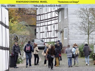 III MOVILIDAD COMENIUS. BRAKEL.                 “Anotaciones a un bosque”
Día 23 OCTUBRE                  Visita guiada a la ciudad de Brakel.
 