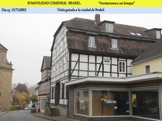 III MOVILIDAD COMENIUS. BRAKEL.                 “Anotaciones a un bosque”
Día 23 OCTUBRE                  Visita guiada a la ciudad de Brakel.
 