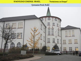 III MOVILIDAD COMENIUS. BRAKEL.            “Anotaciones a un bosque”
                    Gymnasium Brede, Brakel.
 