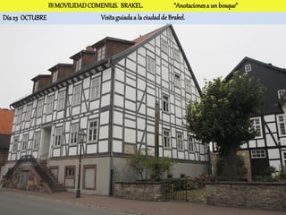 III MOVILIDAD COMENIUS. BRAKEL.                 “Anotaciones a un bosque”
Día 23 OCTUBRE                  Visita guiada a la ciudad de Brakel.
 