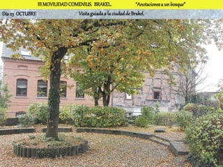 III MOVILIDAD COMENIUS. BRAKEL.                 “Anotaciones a un bosque”
Día 23 OCTUBRE                  Visita guiada a la ciudad de Brakel.
 