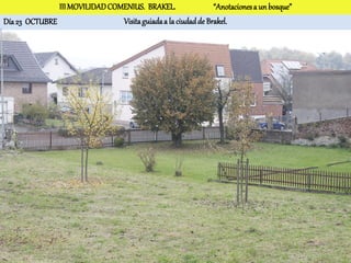 III MOVILIDAD COMENIUS. BRAKEL.                 “Anotaciones a un bosque”
Día 23 OCTUBRE                  Visita guiada a la ciudad de Brakel.
 