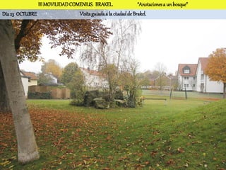 III MOVILIDAD COMENIUS. BRAKEL.                 “Anotaciones a un bosque”
Día 23 OCTUBRE                  Visita guiada a la ciudad de Brakel.
 