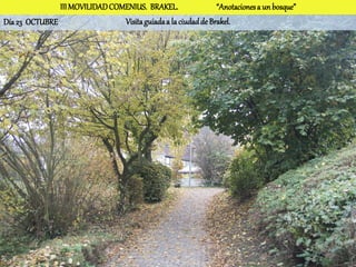 III MOVILIDAD COMENIUS. BRAKEL.                 “Anotaciones a un bosque”
Día 23 OCTUBRE                  Visita guiada a la ciudad de Brakel.
 