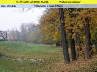 III MOVILIDAD COMENIUS. BRAKEL.                 “Anotaciones a un bosque”
Día 23 OCTUBRE                  Visita guiada a la ciudad de Brakel.
 