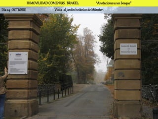 III MOVILIDAD COMENIUS. BRAKEL.                 “Anotaciones a un bosque”
Día 24 OCTUBRE                  Visita al jardín botánico de Münster.
 