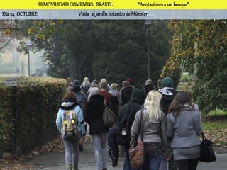 III MOVILIDAD COMENIUS. BRAKEL.                 “Anotaciones a un bosque”
Día 24 OCTUBRE                  Visita al jardín botánico de Münster.
 