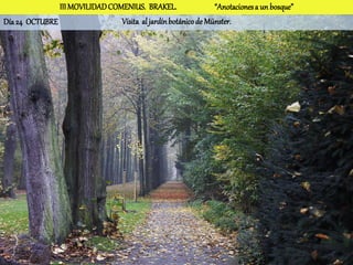III MOVILIDAD COMENIUS. BRAKEL.                 “Anotaciones a un bosque”
Día 24 OCTUBRE                  Visita al jardín botánico de Münster.
 