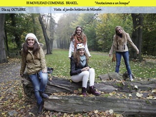 III MOVILIDAD COMENIUS. BRAKEL.                 “Anotaciones a un bosque”
Día 24 OCTUBRE                  Visita al jardín botánico de Münster.
 