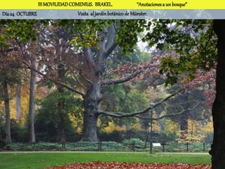 III MOVILIDAD COMENIUS. BRAKEL.                 “Anotaciones a un bosque”
Día 24 OCTUBRE                  Visita al jardín botánico de Münster.
 