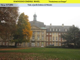 III MOVILIDAD COMENIUS. BRAKEL.                 “Anotaciones a un bosque”
Día 24 OCTUBRE                  Visita al jardín botánico de Münster.
 