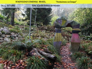 III MOVILIDAD COMENIUS. BRAKEL.                 “Anotaciones a un bosque”
Día 24 OCTUBRE                  Visita al jardín botánico de Münster.
 