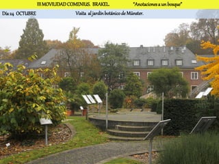 III MOVILIDAD COMENIUS. BRAKEL.                 “Anotaciones a un bosque”
Día 24 OCTUBRE                  Visita al jardín botánico de Münster.
 
