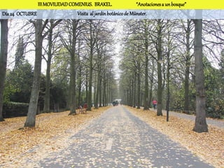 III MOVILIDAD COMENIUS. BRAKEL.                 “Anotaciones a un bosque”
Día 24 OCTUBRE                  Visita al jardín botánico de Münster.
 