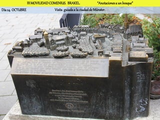 III MOVILIDAD COMENIUS. BRAKEL.                “Anotaciones a un bosque”
Día 24 OCTUBRE                 Visita guiada a la ciudad de Münster.
 