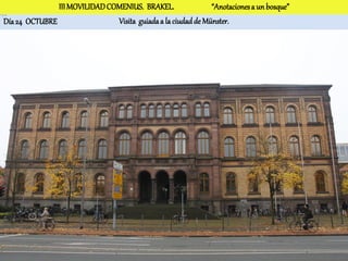 III MOVILIDAD COMENIUS. BRAKEL.                “Anotaciones a un bosque”
Día 24 OCTUBRE                 Visita guiada a la ciudad de Münster.
 