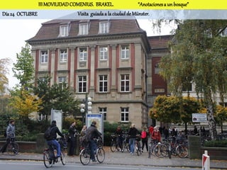 III MOVILIDAD COMENIUS. BRAKEL.                “Anotaciones a un bosque”
Día 24 OCTUBRE                 Visita guiada a la ciudad de Münster.
 