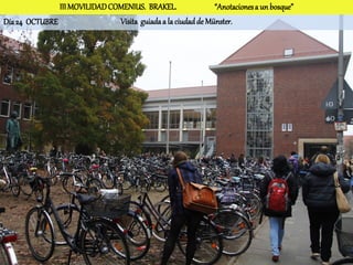 III MOVILIDAD COMENIUS. BRAKEL.                “Anotaciones a un bosque”
Día 24 OCTUBRE                 Visita guiada a la ciudad de Münster.
 