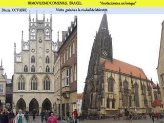 III MOVILIDAD COMENIUS. BRAKEL.                “Anotaciones a un bosque”
Día 24 OCTUBRE                 Visita guiada a la ciudad de Münster.
 
