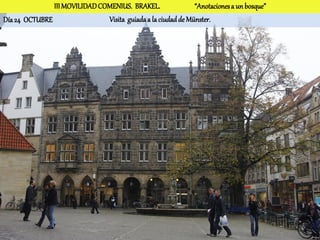 III MOVILIDAD COMENIUS. BRAKEL.                “Anotaciones a un bosque”
Día 24 OCTUBRE                 Visita guiada a la ciudad de Münster.
 
