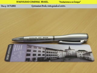III MOVILIDAD COMENIUS. BRAKEL.                “Anotaciones a un bosque”
Día 23 OCTUBRE                Gymnasium Brede, visita guiada al centro.
 