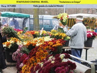 III MOVILIDAD COMENIUS. BRAKEL.                “Anotaciones a un bosque”
Día 24 OCTUBRE                 Visita guiada a la ciudad de Münster.
 