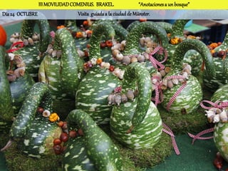 III MOVILIDAD COMENIUS. BRAKEL.                “Anotaciones a un bosque”
Día 24 OCTUBRE                 Visita guiada a la ciudad de Münster.
 