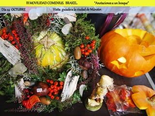 III MOVILIDAD COMENIUS. BRAKEL.                “Anotaciones a un bosque”
Día 24 OCTUBRE                 Visita guiada a la ciudad de Münster.
 