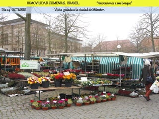 III MOVILIDAD COMENIUS. BRAKEL.                “Anotaciones a un bosque”
Día 24 OCTUBRE                 Visita guiada a la ciudad de Münster.
 