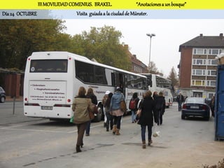 III MOVILIDAD COMENIUS. BRAKEL.                “Anotaciones a un bosque”
Día 24 OCTUBRE                 Visita guiada a la ciudad de Münster.
 