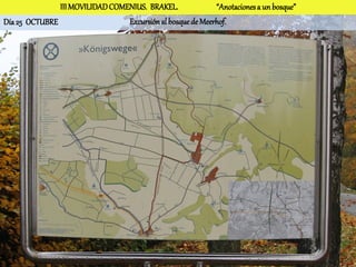 III MOVILIDAD COMENIUS. BRAKEL.              “Anotaciones a un bosque”
Día 25 OCTUBRE                   Excursión al bosque de Meerhof.
 