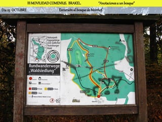 III MOVILIDAD COMENIUS. BRAKEL.              “Anotaciones a un bosque”
Día 25 OCTUBRE                   Excursión al bosque de Meerhof.
 