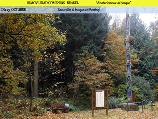 III MOVILIDAD COMENIUS. BRAKEL.              “Anotaciones a un bosque”
Día 25 OCTUBRE                   Excursión al bosque de Meerhof.
 