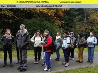 III MOVILIDAD COMENIUS. BRAKEL.              “Anotaciones a un bosque”
Día 25 OCTUBRE                   Excursión al bosque de Meerhof.
 