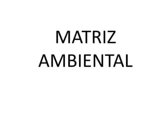 MATRIZ AMBIENTAL 