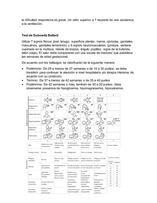 la dificultad respiratoria es grave. Un valor superior a 7 necesita de una asistencia
a la ventilación.
Test de Dubowitz Ballard
Utiliza 7 signos físicos (piel, lanugo, superficie plantar, mama, ojo/oreja, genitales
masculinos, genitales femeninos) y 6 signos neuromusculares (postura, ventana
cuadrada en la muñeca, rebote de brazos, ángulo poplíteo, signo de la bufanda,
talón oreja). El valor debe compararse con una escala de madurez que establece
las semanas de edad gestacional.
De acuerdo con los hallazgos se clasificarán de la siguiente manera:
 Pretérmino: De 28 a menos de 37 semanas o de 10 a 30 puntos; se debe
transferir para continuar la atención a nivel hospitalario y/o terapia intensiva de
acuerdo con su condición.
 Término: De 37 a menos de 42 semanas o de 35 a 40 puntos
 Postérmino: De 42 semanas o más, también de 45 a 50 puntos; debe
observarse presencia de hipoglicemia, hipomagnesemia, hipocalcemia.
 