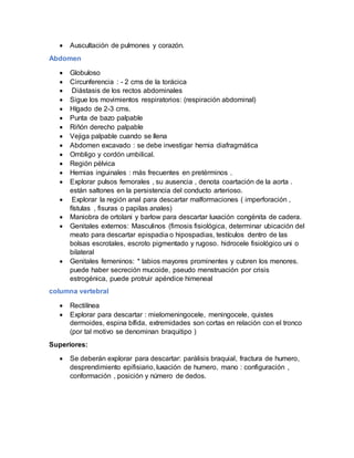  Auscultación de pulmones y corazón.
Abdomen
 Globuloso
 Circunferencia : - 2 cms de la torácica
 Diástasis de los rectos abdominales
 Sigue los movimientos respiratorios: (respiración abdominal)
 Hígado de 2-3 cms.
 Punta de bazo palpable
 Riñón derecho palpable
 Vejiga palpable cuando se llena
 Abdomen excavado : se debe investigar hernia diafragmática
 Ombligo y cordón umbilical.
 Región pélvica
 Hernias inguinales : más frecuentes en pretérminos .
 Explorar pulsos femorales , su ausencia , denota coartación de la aorta .
están saltones en la persistencia del conducto arterioso.
 Explorar la región anal para descartar malformaciones ( imperforación ,
fístulas , fisuras o papilas anales)
 Maniobra de ortolani y barlow para descartar luxación congénita de cadera.
 Genitales externos: Masculinos (fimosis fisiológica, determinar ubicación del
meato para descartar epispadia o hipospadias, testículos dentro de las
bolsas escrotales, escroto pigmentado y rugoso. hidrocele fisiológico uni o
bilateral
 Genitales femeninos: * labios mayores prominentes y cubren los menores.
puede haber secreción mucoide, pseudo menstruación por crisis
estrogénica, puede protruir apéndice himeneal
columna vertebral
 Rectilínea
 Explorar para descartar : mielomeningocele, meningocele, quistes
dermoides, espina bífida, extremidades son cortas en relación con el tronco
(por tal motivo se denominan braquitipo )
Superiores:
 Se deberán explorar para descartar: parálisis braquial, fractura de humero,
desprendimiento epifisiario, luxación de humero, mano : configuración ,
conformación , posición y número de dedos.
 
