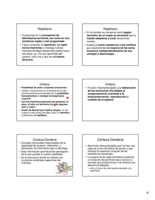 4
Reptiliano
• Involucrado en la concepción de
delimitación territorial, así como en una
existencia rígida y casi programada.
• Típica conducta: la repetición: un reptil
nunca improvisa o investiga nuevas
maneras de llegar desde esta piedra hasta
ese árbol, ya una vez aprendido un
camino, hará una y otra vez el mismo
itinerario.
Reptiliano
• En el hombre se comporta como legado
neurótico de un super-yo ancestral que le
impide adaptarse y crear situaciones
nuevas
• Explica la fuerte resistencia a los cambios
que experimentan la mayoría de los seres
humanos, independientemente de sus
ventajas o desventajas.
límbico
• Posibilidad de sentir y expresar emociones.
• Cambio revolucionario en la historia de la vida,
coherentemente acompañada por la posibilidad
homeotérmica de manejar la temperatura
corporal.
• Con los mamíferos aparecen las pasiones: el
amor, el odio y el altruismo (la vida adquiere
calor y color).
• Grado de libertad que implica riesgos, sin los
cuales la vida carece de sabor para un mamífero,
a diferencia del reptiliano.
límbico
• Función importante ligada a la elaboración
de las emociones vinculadas al
comportamiento orientado a la
autoconservación, reproducción y
cuidado de la especie.
Corteza Cerebral
• Circuitos neuronales responsables de la
capacidad de analizar, interpretar, y
almacenar, la información que a ella llega.
• Esta información permite tener percepción
de lo que sucede a nuestro alrededor.
• Es la estructura donde se realizan las
funciones cerebrales superiores del
individuo
Corteza Cerebral
• Neuronas interconectadas que forman una
capa de unos milímetros de grosor y que
recubre la superficie irregular de los
hemisferios cerebrales.
• La superficie de cada hemisferio presenta
un conjunto de prominencias y surcos (o
cisuras) que proporcionan a la corteza una
apariencia plegada
– sólo un tercio de esta queda expuesta a la
superficie.
 