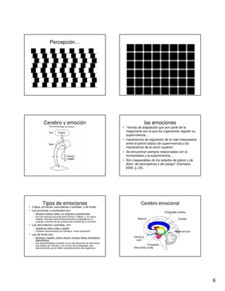 6
Percepción…
Cerebro y emoción las emociones
• "formas de adaptación que son parte de la
maquinaria con la que los organismos regulan su
supervivencia.....
• mecanismos de regulación de la vida interpuestos
entre el patrón básico de supervivencia y los
mecanismos de la razón superior.
• Se encuentran siempre relacionadas con la
homeostasis y la supervivencia....
• Son inseparables de los estados de placer y de
dolor, de recompensa y de castigo" (Damasio,
2000, p. 20).
Tipos de emociones
• 3 tipos: primarias, secundarias o sociales, y de fondo.
• Las primarias o universales son:
– felicidad, tristeza, miedo, ira, sorpresa y aversión/asco.
– Son las mismas que propusiera Ekman (1992a), y, en cierta
medida, Damasio está fundamentando la propuesta en el
carácter universal de las expresiones faciales de la emoción.
• Las secundarias o sociales, son:
– vergüenza, celos, culpa, y orgullo.
– También denominadas por Damasio "otras conductas",
• Las de fondo son:
– bienestar, malestar, calma, tensión, energía, fatiga, anticipación,
desconfianza.
– Sus peculiaridades consisten en la naturaleza de los inductores,
que suelen ser internos, y en el foco de la respuesta, que,
esencialmente, es el medio ambiente interno del organismo
Cerebro emocional
 